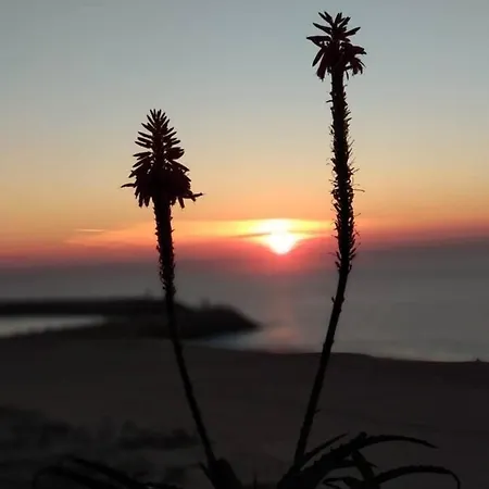 Dream -beautiful Spot Apartment Nazare