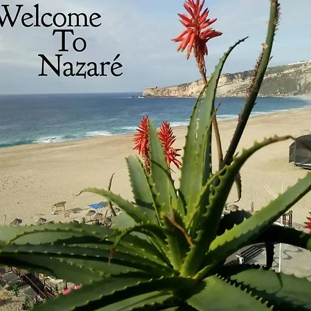 Apartment Dream -beautiful Spot Nazare